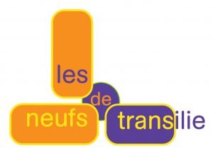 Logo 9transilie